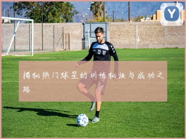 揭秘热门球星的训练秘诀与成功之路