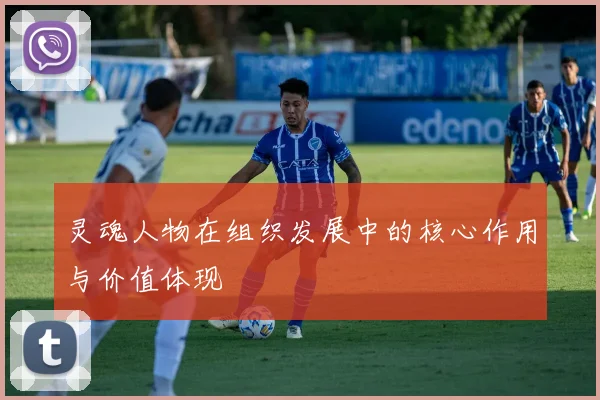 灵魂人物在组织发展中的核心作用与价值体现